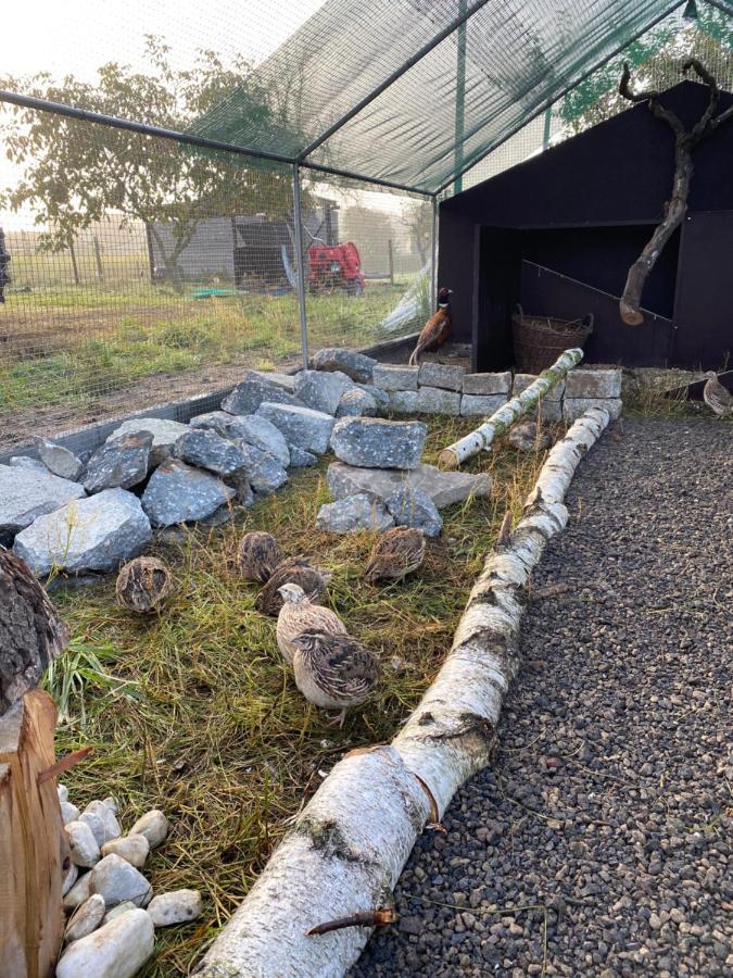 Ferienwohnung Auf Dem Bauernhof คอตต์บุส ภายนอก รูปภาพ